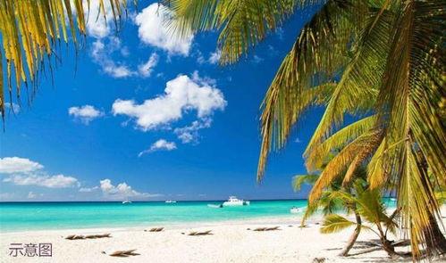 海南海边最新消息爆料,神秘海岛发现珍稀生物，旅游胜地再掀热潮  第2张